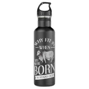 Botella De Agua Brahman Bull Cattle Mini Cow Cow Premium