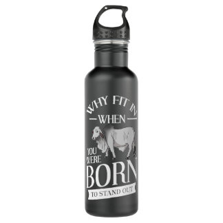 Botella De Agua Brahman Bull Cattle Mini Cow Cow Premium