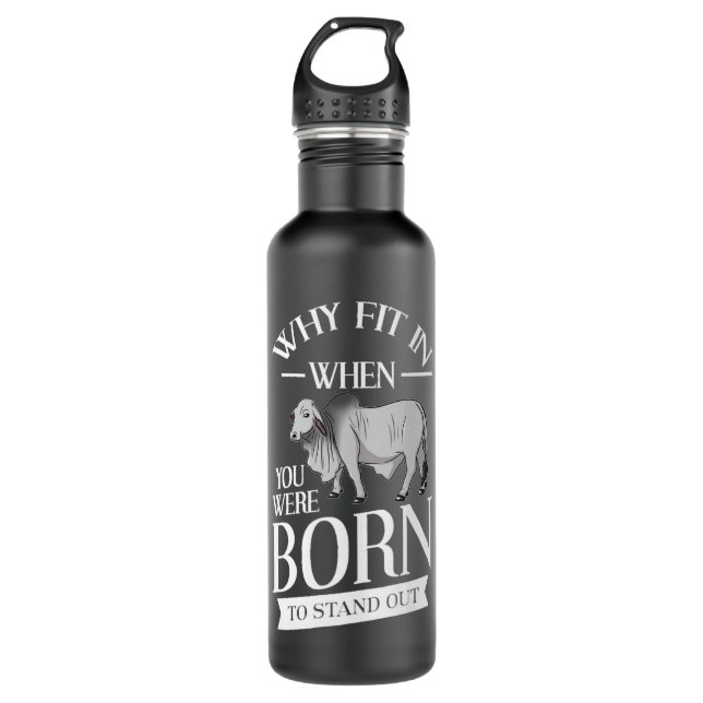 Botella De Agua Brahman Bull Cattle Mini Cow Cow Premium (Anverso)