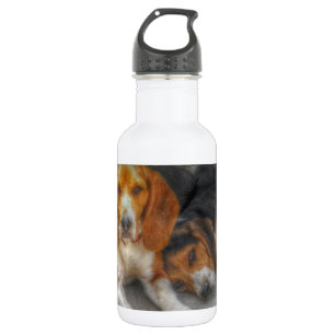 Botella De Agua Brother Beagles