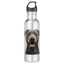 Brown Dog Aesthetic water bottle – Cozy Pet Lover 