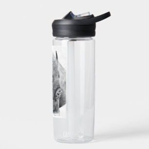 Botella De Agua Búfalo Americano