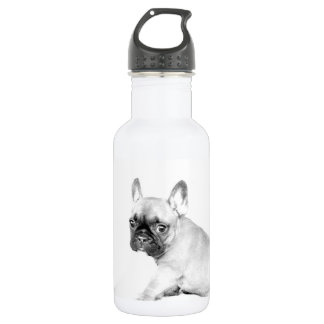 Botella De Agua Bulldog francés
