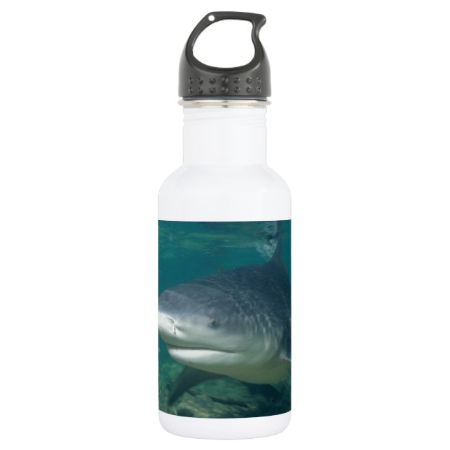 Botella De Agua Bullshark (Anverso)