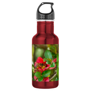 Botella De Agua Bumblebee Y Azalea