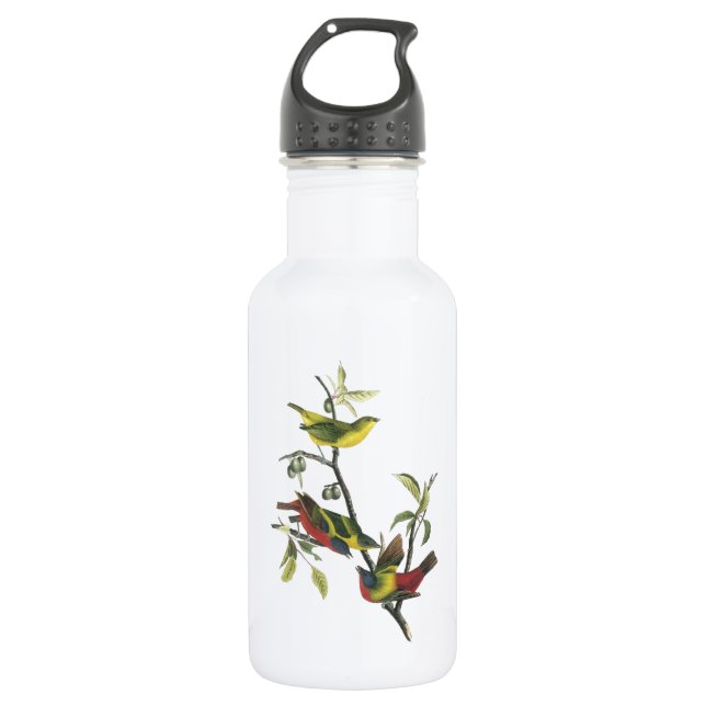 Botella De Agua Bunting pintado por Audubon (Anverso)