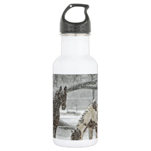 Botella De Agua caballo invierno nieve granja rancho animales neva