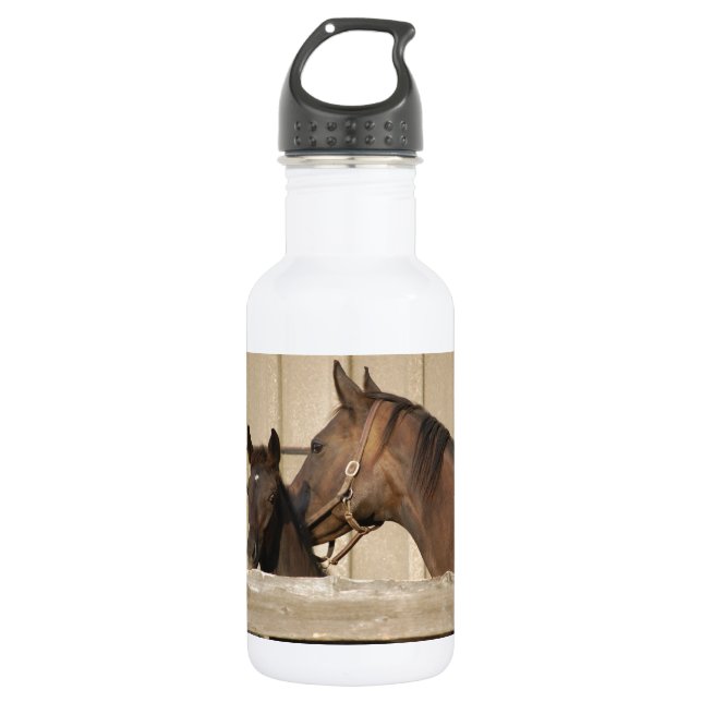 Botella De Agua Caballo y Pony (Anverso)