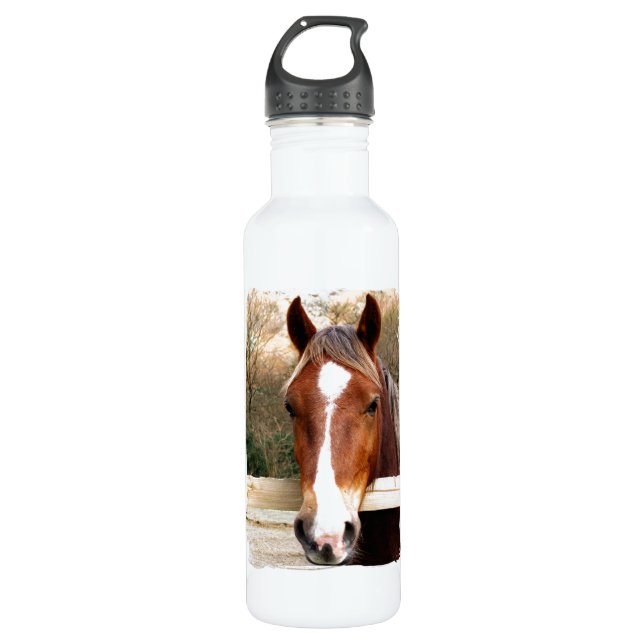 BOTELLA DE AGUA CABALLOS (Anverso)