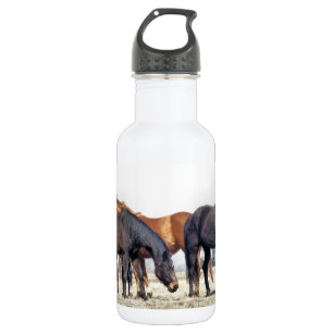 BOTELLA DE AGUA CABALLOS