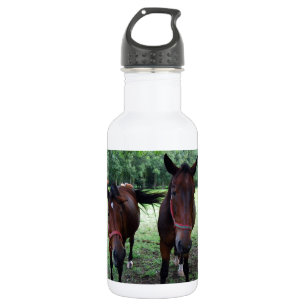 Botella De Agua Caballos marrón oscuro en pastizal