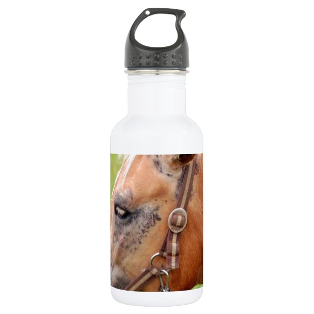 Botella De Agua Cabeza de caballo (Anverso)