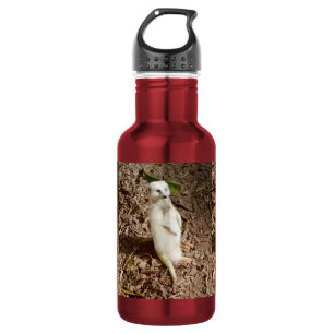 Botella De Agua Cabeza de Meerkat Blanco,