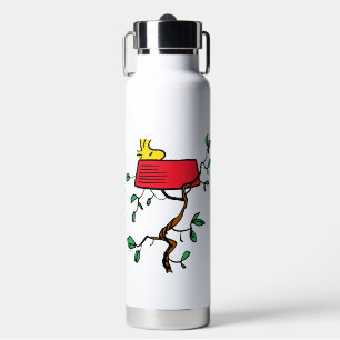 Botella De Agua Cacahuetes   Secuestro de madera en el plato de Sn