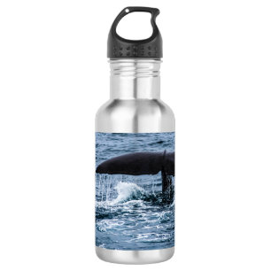 Botella De Agua Cachalote