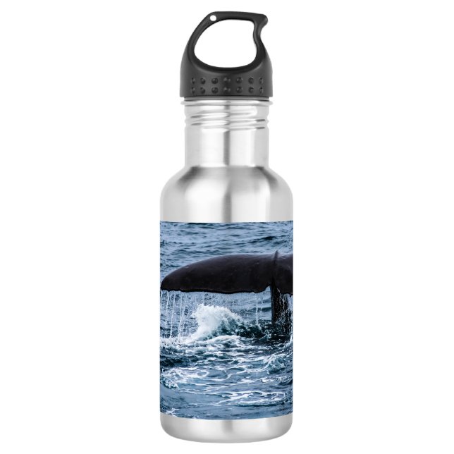 Botella De Agua Cachalote (Anverso)