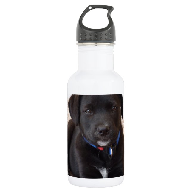 Botella De Agua Cachorro de Labrador Negro (Anverso)