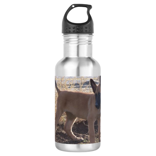 Botella De Agua Cachorro de Malinois Belga completo (Anverso)