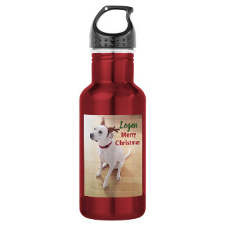 Botella De Agua Cachorro Reno Blanco Lindo Foto Navidad