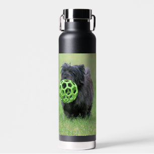 Botella De Agua Cairn terrier