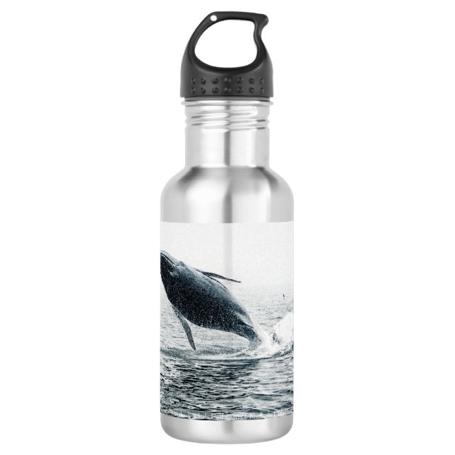 Botella De Agua Calf de ballena jorobada (Anverso)