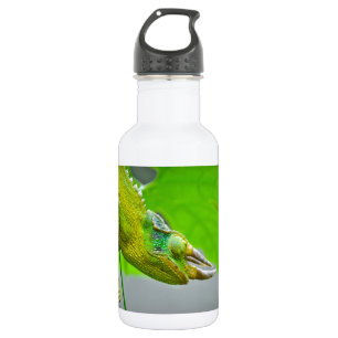 Botella De Agua Camaleón de cuernos del gigante 3