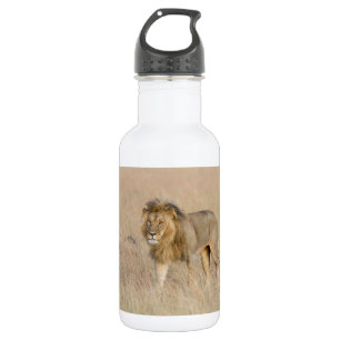Botella De Agua Caminata de leones