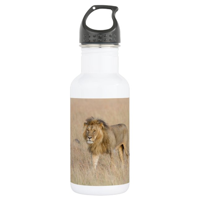Botella De Agua Caminata de leones (Anverso)