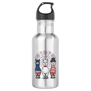 Botella De Agua Camiseta vectorial vintage de fuegos artificiales