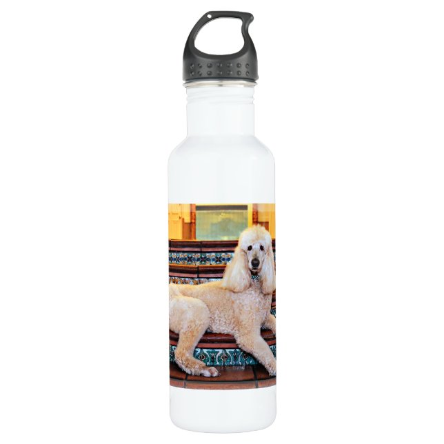 Botella De Agua Caniche estándar del albaricoque - Bocelli (Anverso)