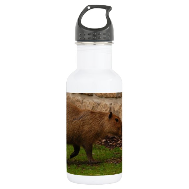 Botella De Agua capibaro (Anverso)