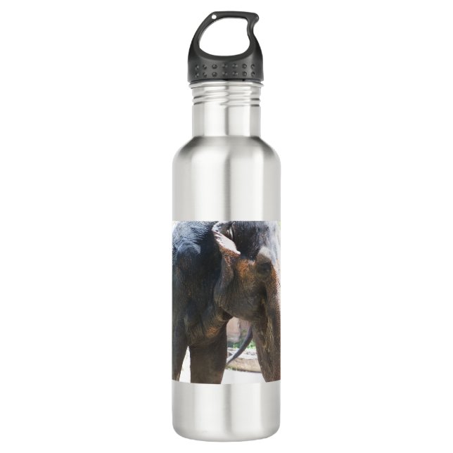 Botella De Agua Cara de elefante (Anverso)