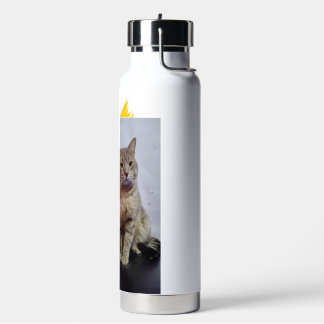 Botella De Agua cara de gato