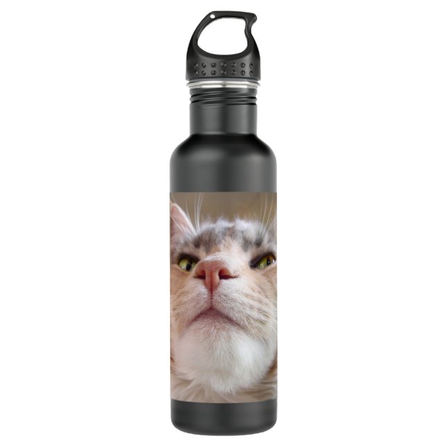 Botella De Agua Cara del gato (Anverso)