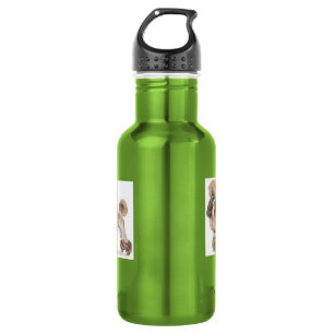 Botella De Agua Carbón — Mostrar carne de vaca