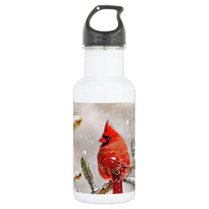 Botella De Agua Cardenal en un pino en invierno