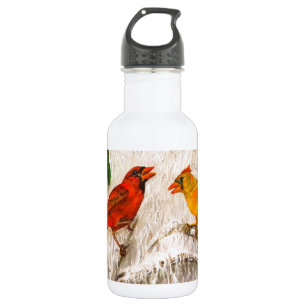 Botella De Agua Cardenales rojos de los pájaros - canto del amor