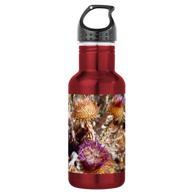 Botella De Agua Cardo (Anverso)