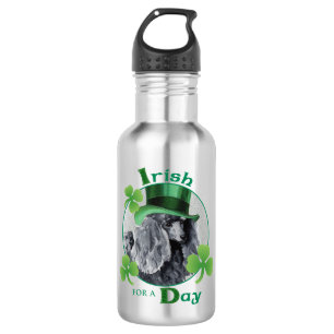 Botella De Agua Caricatura en miniatura del Día de San Patricio