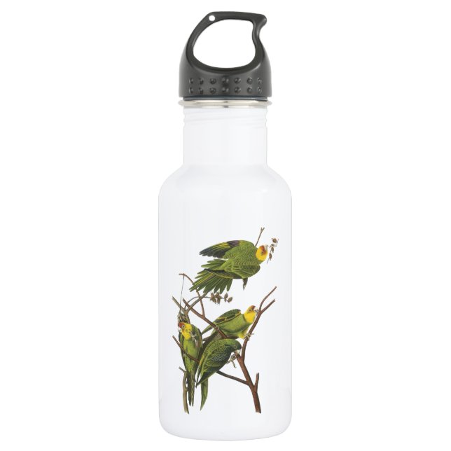 Botella De Agua Carolina Parakeet de Audubon (Anverso)