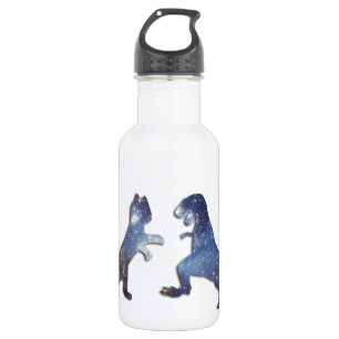 BOTELLA DE AGUA CAT VS T-REX - TEXTURA ESPACIAL