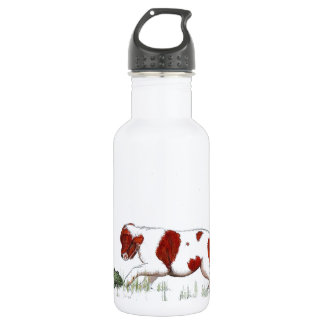 Botella De Agua Cavalier King Charles Spaniel CKC