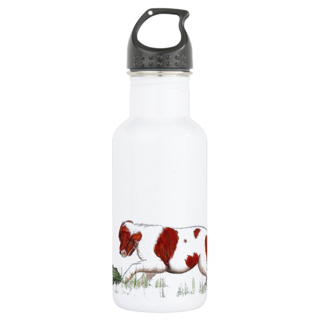 Botella De Agua Cavalier King Charles Spaniel CKC (Anverso)