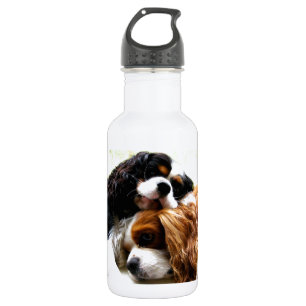 Botella De Agua Cavaliers de los hermanos