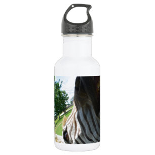 Botella De Agua Cebra divertida