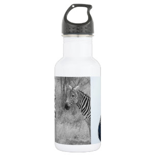 Botella De Agua Cebra Safari Lindo Africano Elegante Rayas
