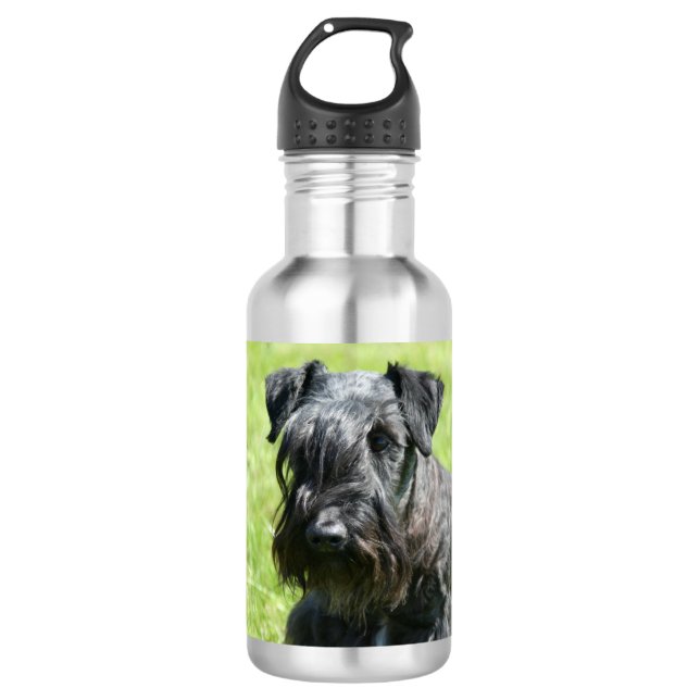 Botella De Agua cesky-terrier.png (Anverso)