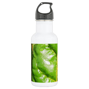 Botella De Agua Chards suizos