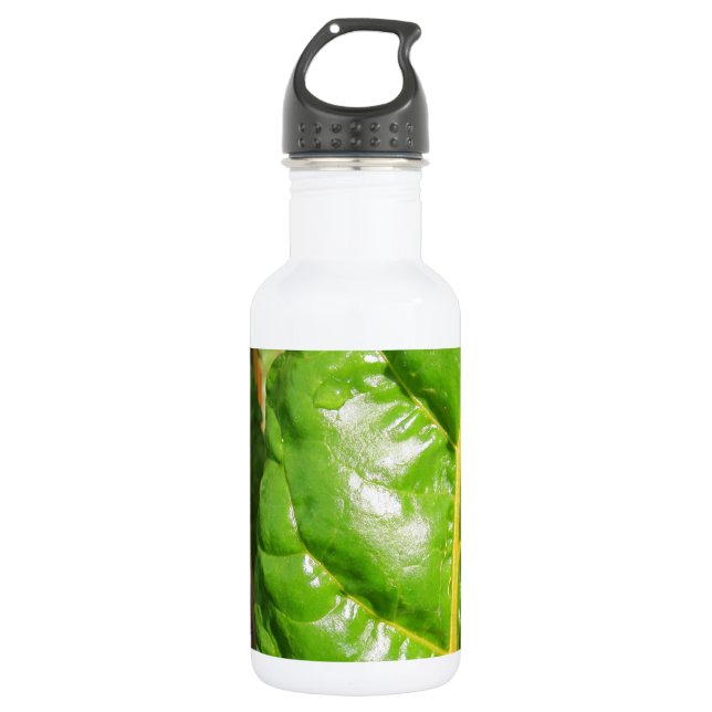 Botella De Agua Chards suizos (Anverso)