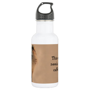Botella De Agua Chick feo